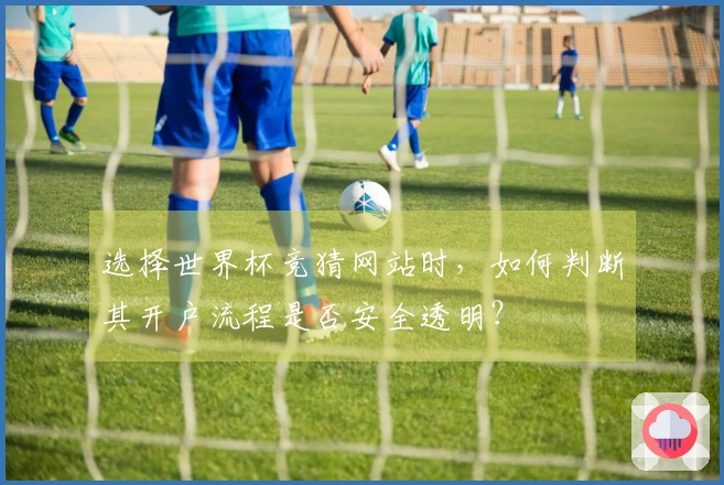 选择世界杯竞猜网站时,如何判断其开户流程是否安全透明?