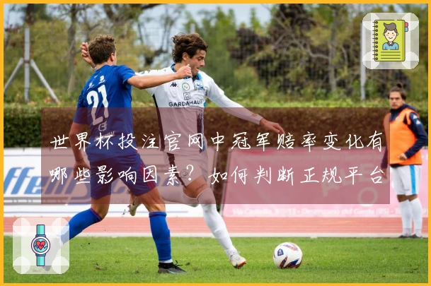 世界杯投注官网中冠军赔率变化有哪些影响因素？如何判断正规平台的可靠性？
