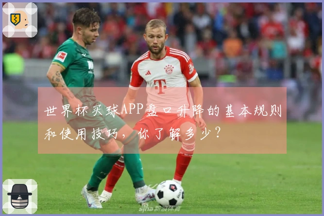 世界杯买球APP盘口升降的基本规则和使用技巧，你了解多少？