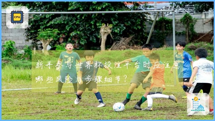 新手参与世界杯投注平台时应注意哪些风险与步骤细节？